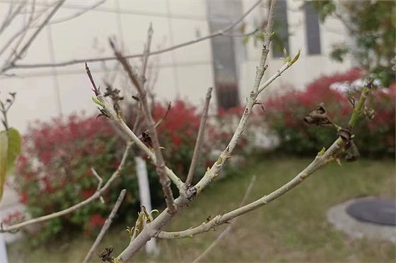 圖片2