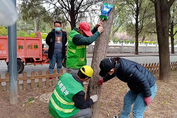 【案例分享】2022年3月快活林河北邯鄲公園養(yǎng)護(hù)指導(dǎo)