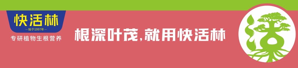 快活林,大大提高栽植成活率，降低養(yǎng)護成本