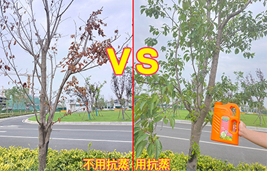 抗蒸對比3