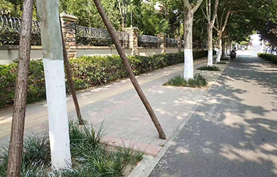 涂白劑綠2