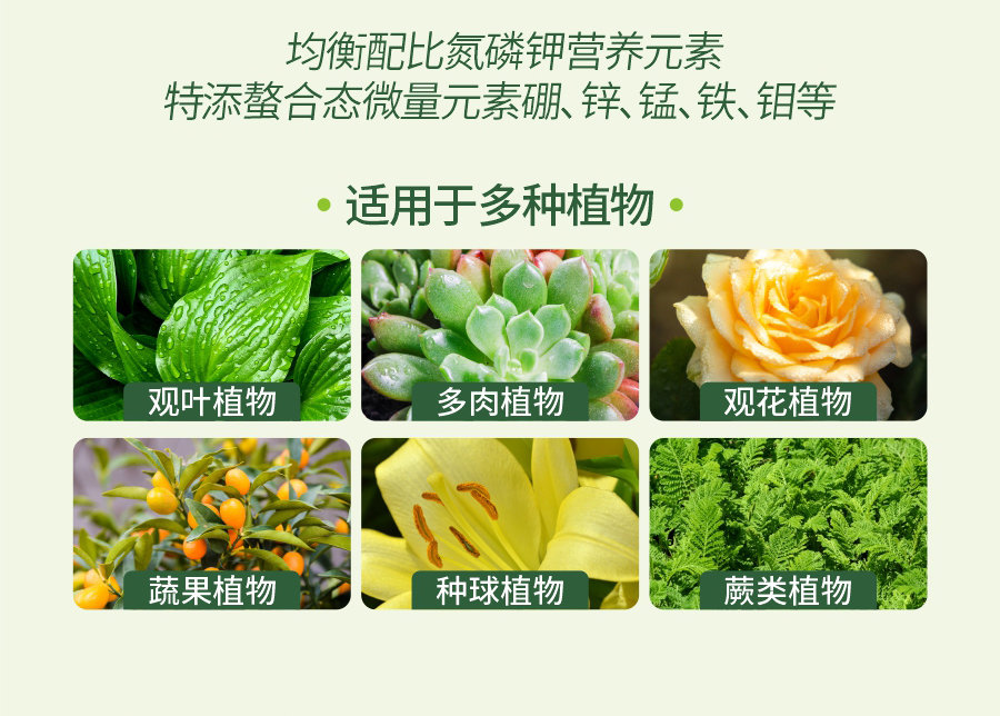 詳情 (11)