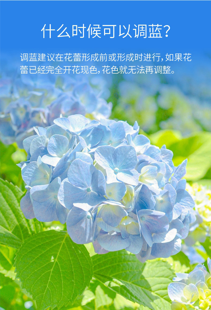 詳情 (5)