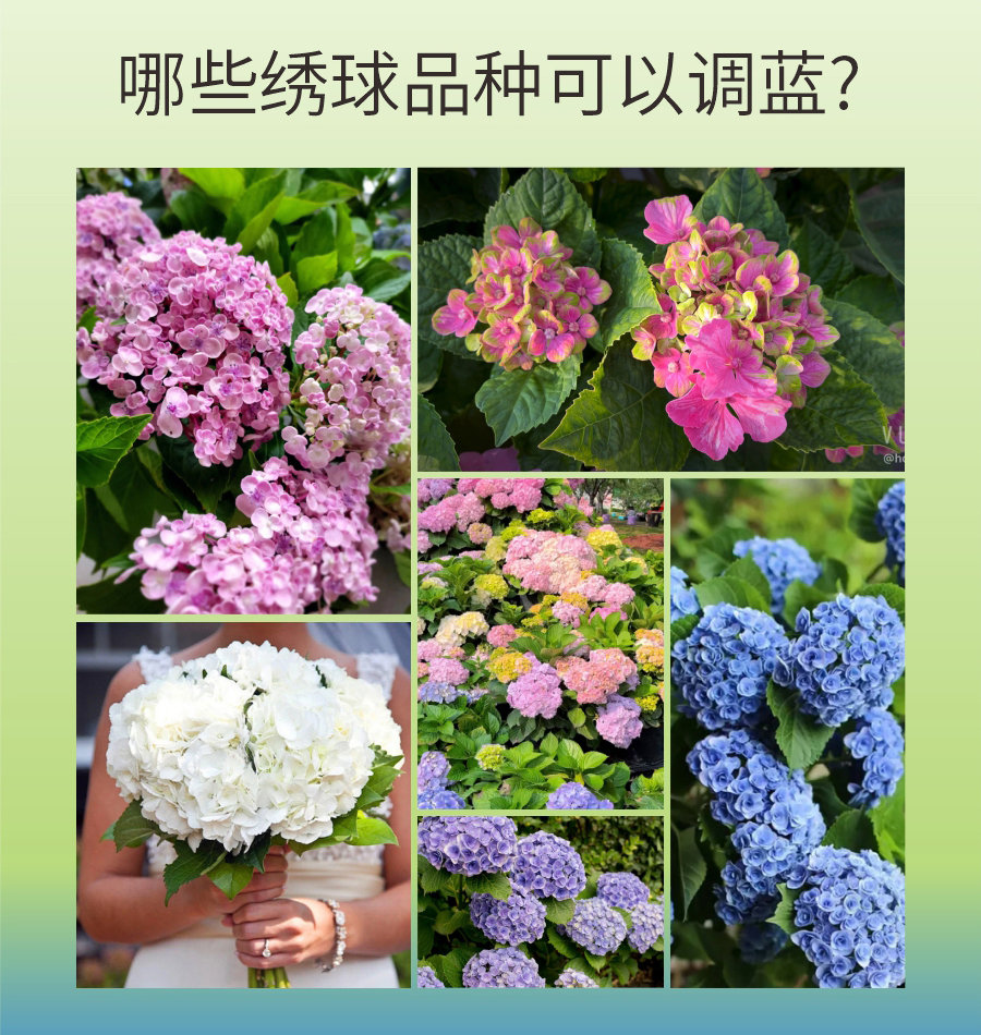 詳情 (7)