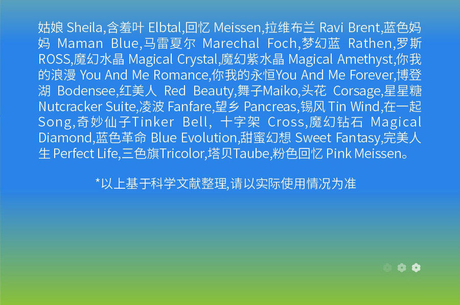詳情 (8)
