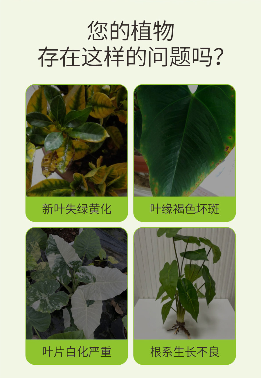 詳情 (2)
