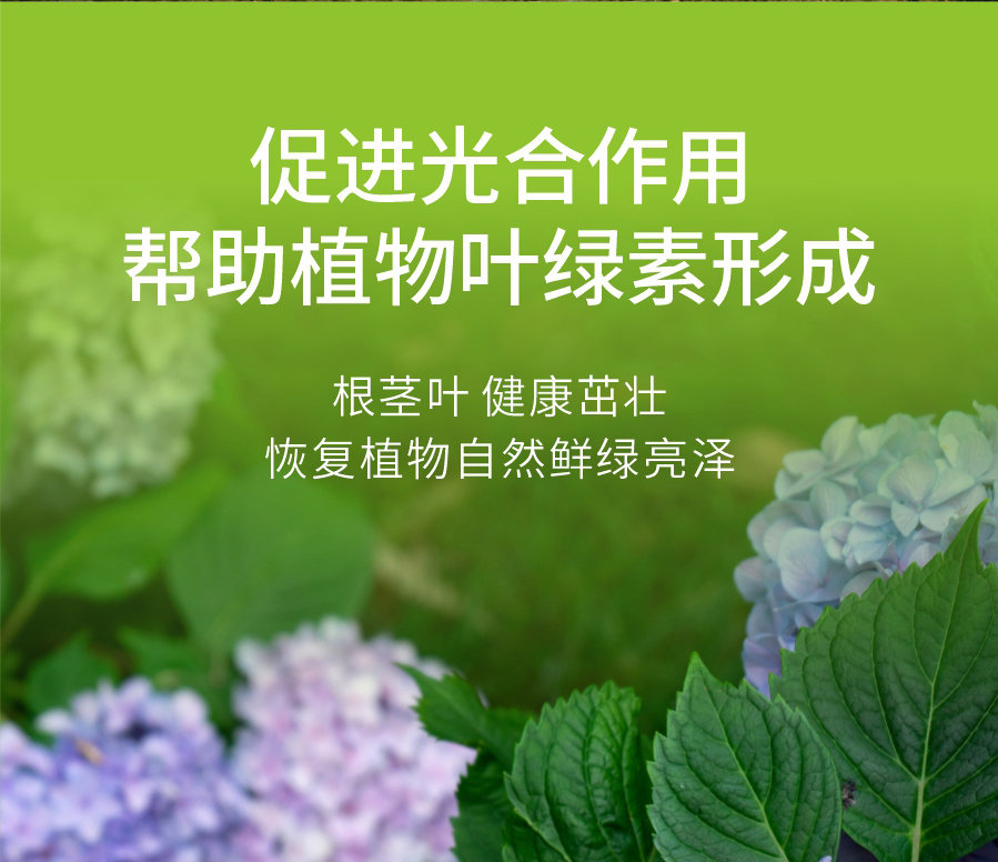 詳情 (5)