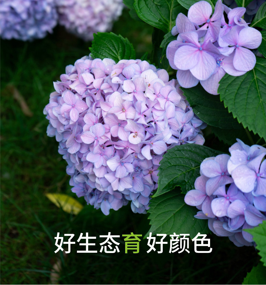 詳情 (6)