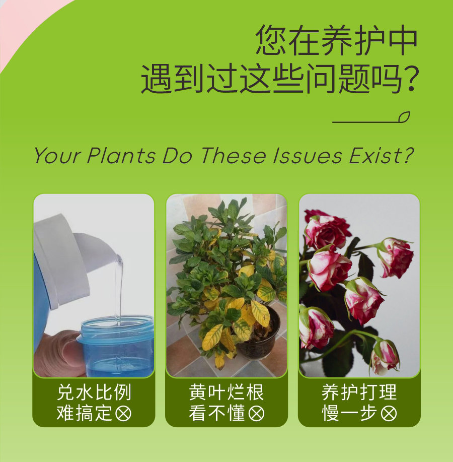 詳情 (2)