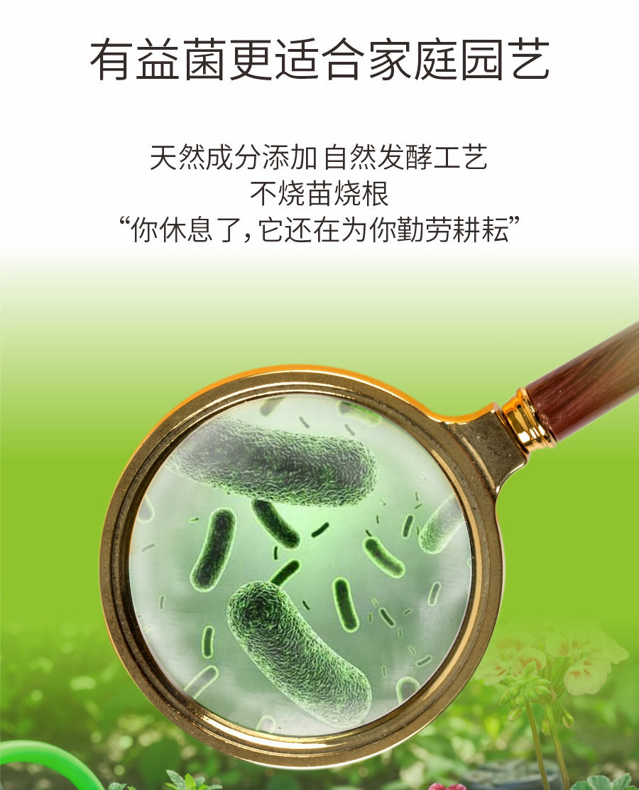 詳情 (4)