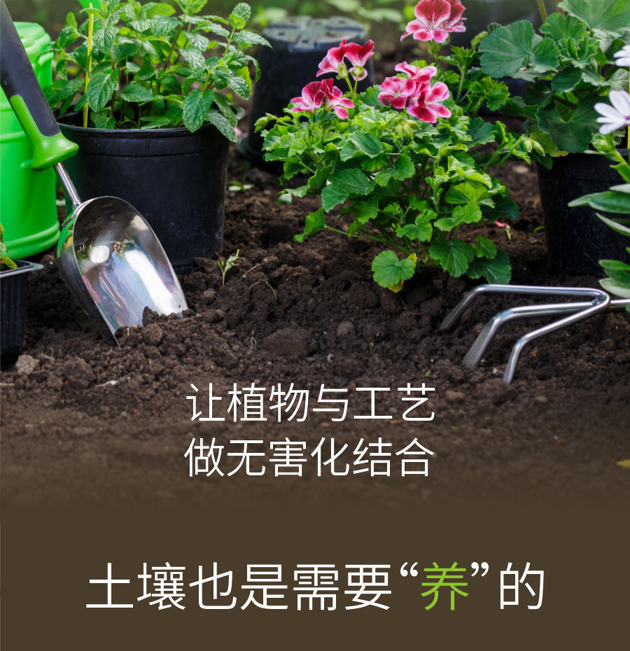 詳情 (5)