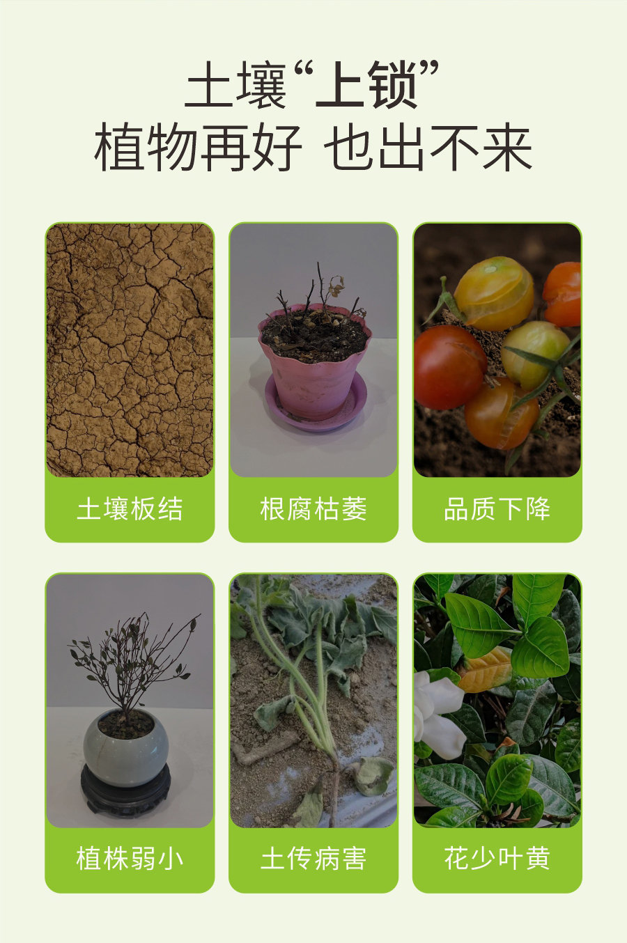 詳情 (2)