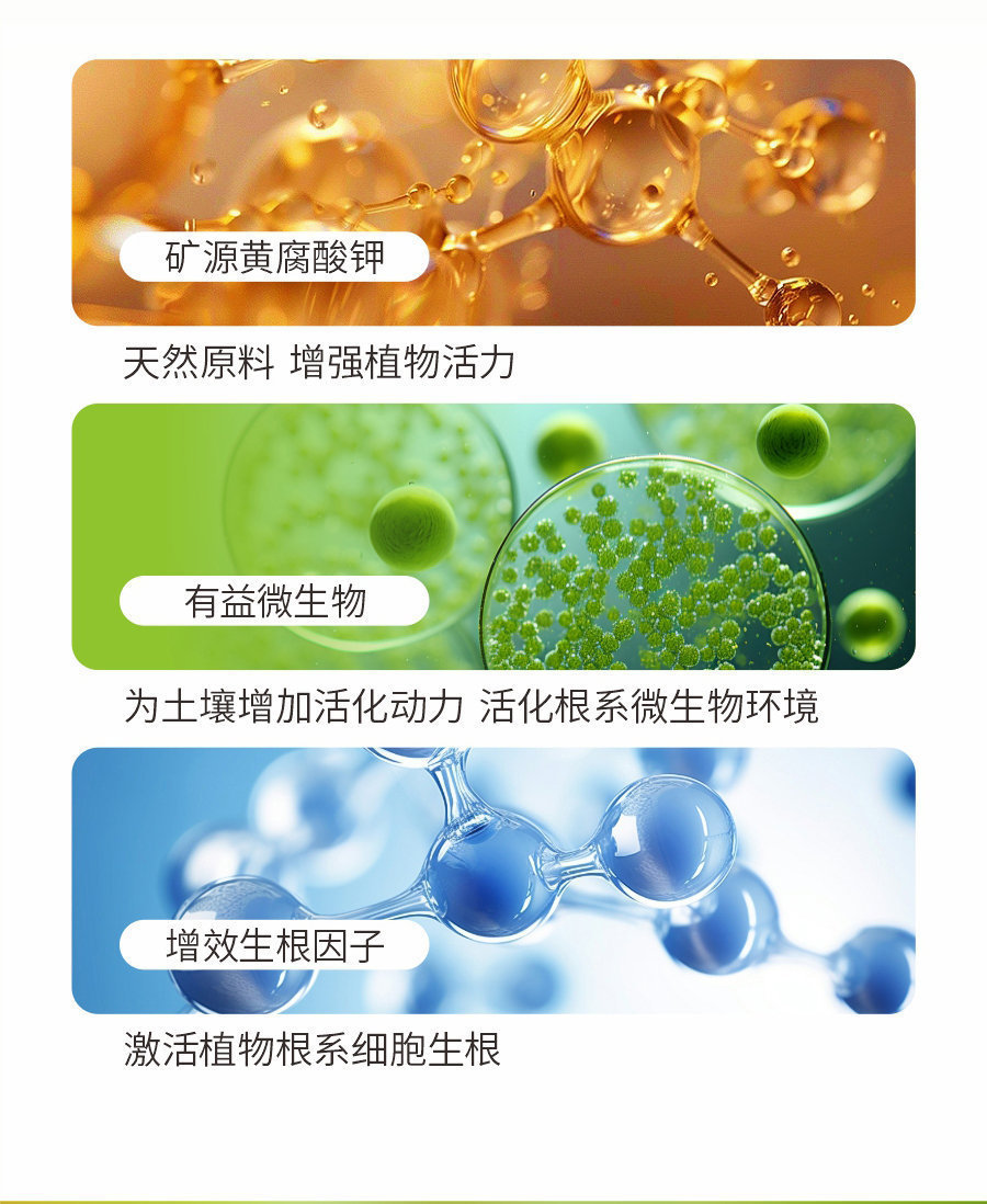詳情 (4)