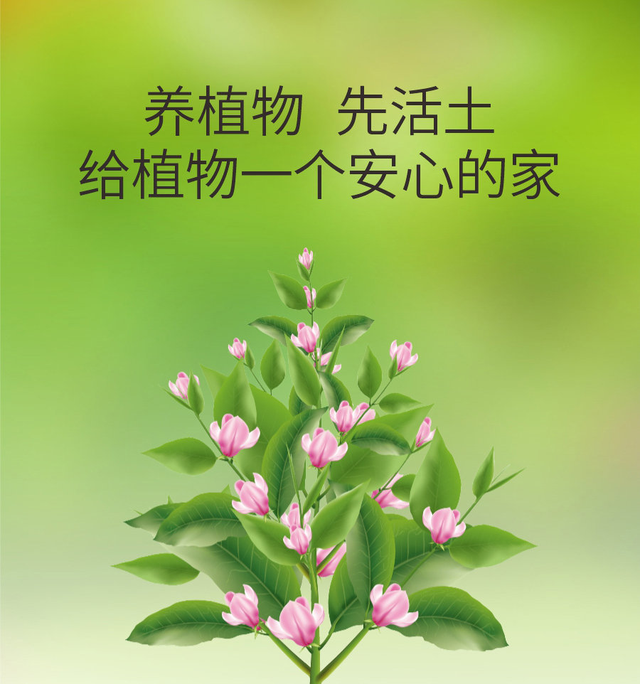 詳情 (5)