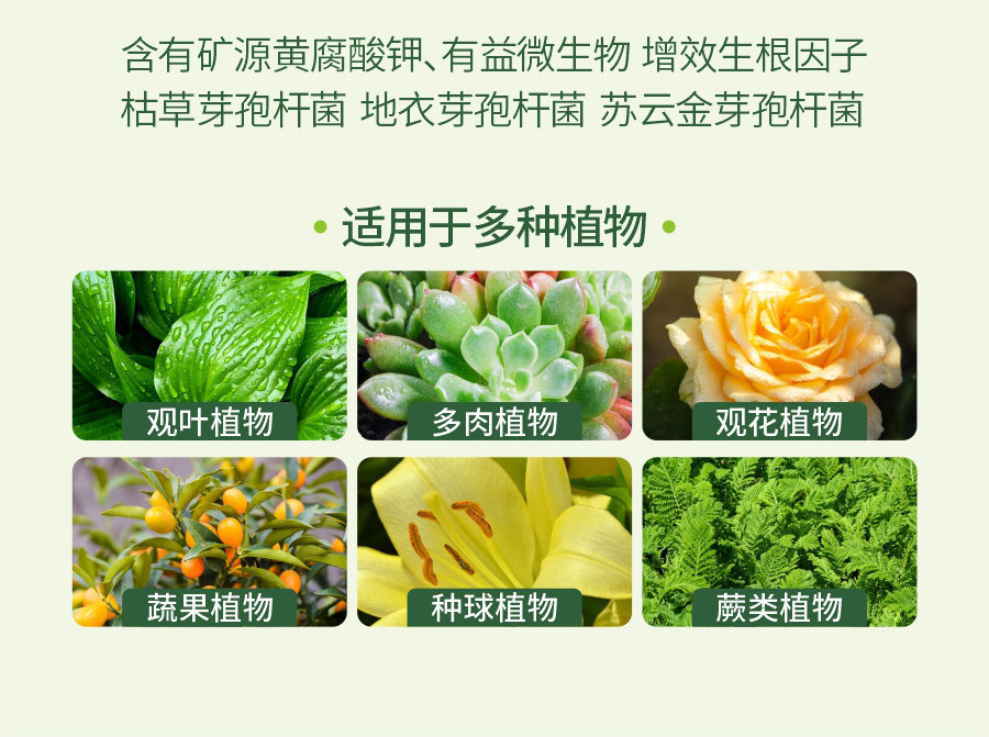 詳情 (9)