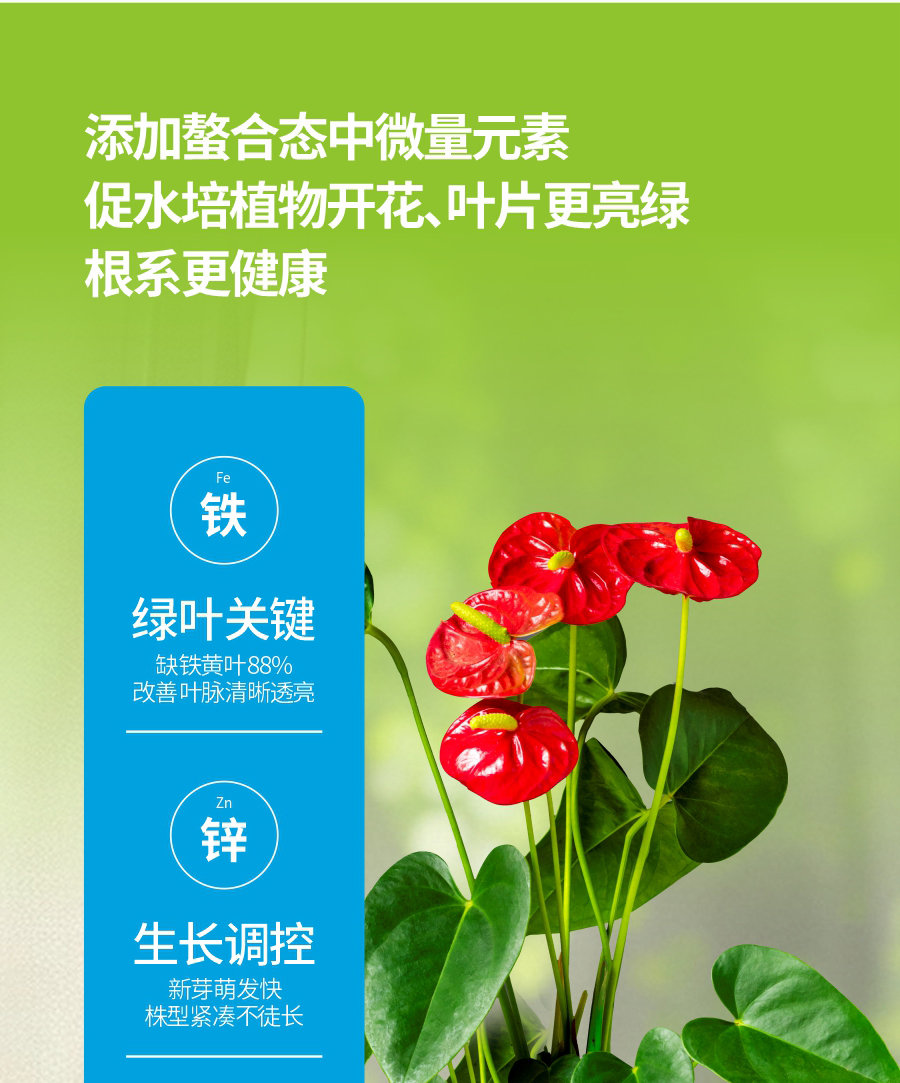 詳情1 (5)