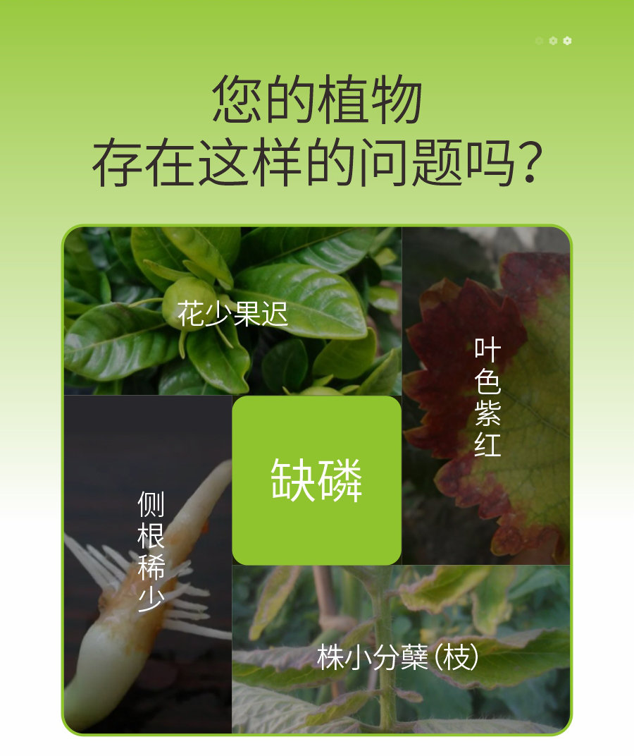 詳情 (2)